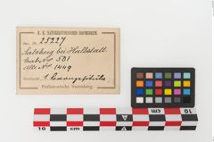 Etiketten zu Bronzesitula (NHMW-PRAE-025227)